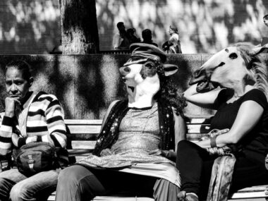 Foto: Las Comadres Púrpuras.