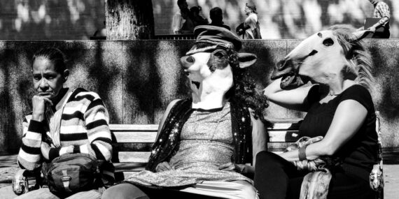 Foto: Las Comadres Púrpuras.