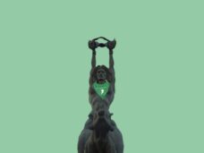 WhatsApp Image 2020-09-27 at 9.29.36 PM (1)