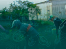 Acción Cosecha #AcciónCosecha