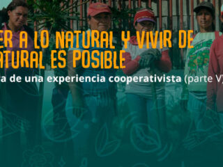 bitacoras-accion-cosecha6