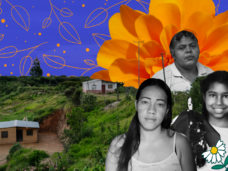 Acción Cosecha #AcciónCosecha